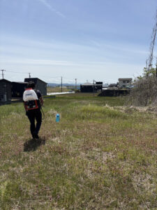 【除草剤・木の剪定】早めの対策！！