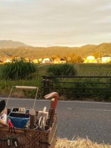 時は万緑の夏です🌞