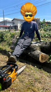 エコクリーン事業部です🌻