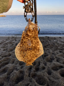シルバーウィークは釣り三昧でした🎣